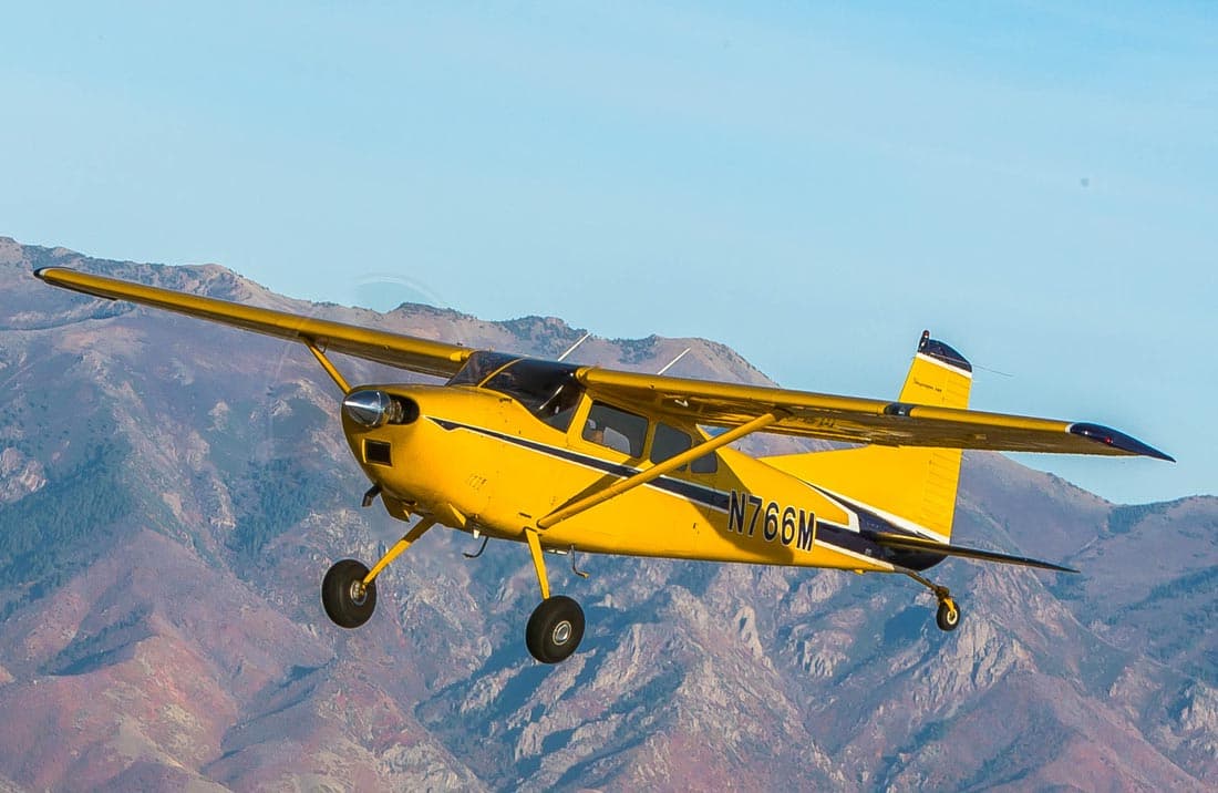 FAM-02(Cessna185)
